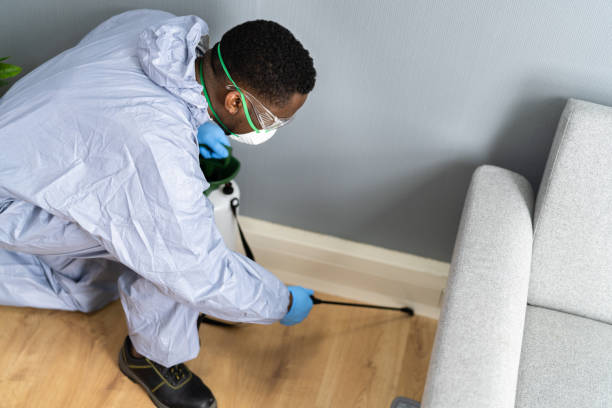 Best Commercial Pest Control  in Braidwood, IL